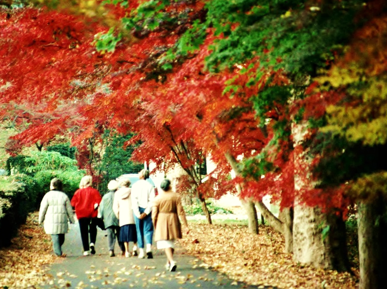 An autumn stroll at The Mount of the House of the Lord.