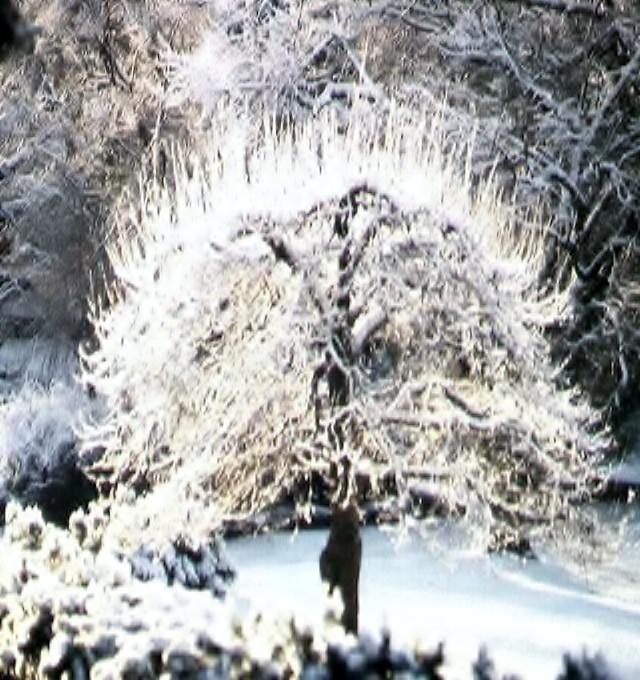 An early Spring Ice Storm at The Mount of the House of the Lord